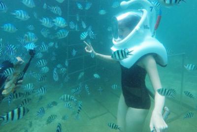 2-Day Hoi An and Cham Island Private Guided Tour with Sea Trek 2-Day Hoi An and Cham Island Private Guided Tour with Sea Trek