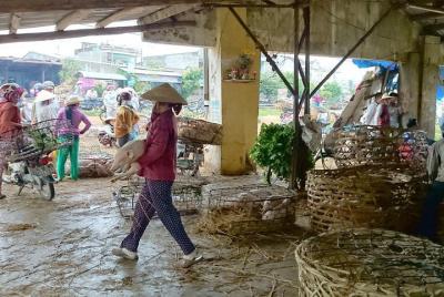 Discover Hoi An Countryside by Jeep from Hoi An Discover Hoi An Countryside by Jeep from Hoi An