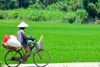 Glimpse of Hoi An Countryside by Bicycle Glimpse of Hoi An Countryside by Bicycle