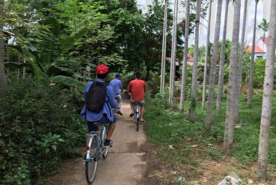 Full-Day Bike Tour of Hoi An and Cam Thanh Fishing Village Full-Day Bike Tour of Hoi An and Cam Thanh Fishing Village