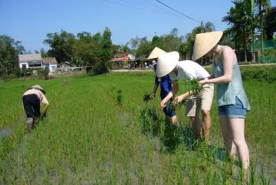 Afternoon Countryside Bike Tour from Hoi An Afternoon Countryside Bike Tour from Hoi An