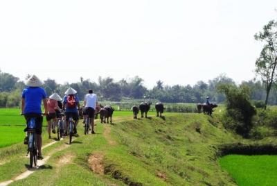 Bicycle tour around Hoi An (Private) Bicycle tour around Hoi An (Private)