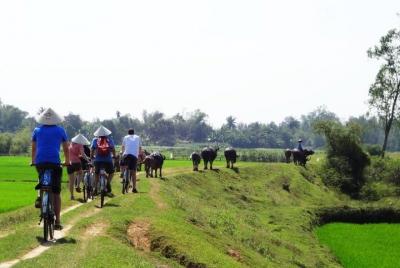Village Cycling in Hoi An Prviate Tour Village Cycling in Hoi An Prviate Tour