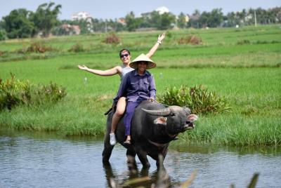 Buffalo Riding, Basket Boat Tour And Cooking Class Buffalo Riding, Basket Boat Tour And Cooking Class