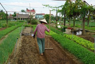 Tra Que Herb Village & Cooking Class