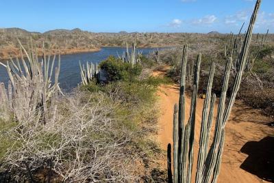 Sightseeingss in Kralendijk Things to do in  Kralendijk 183054