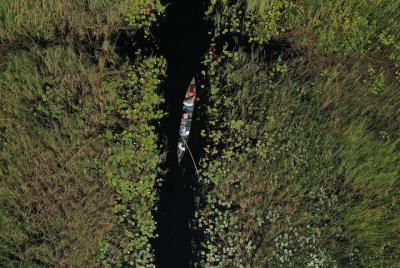 1 Day Okavango Delta Mokoro/Canoe Daytrip 1 Day Okavango Delta Mokoro/Canoe Daytrip