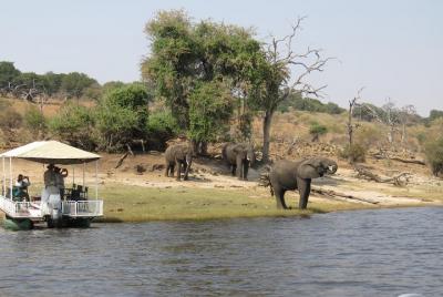 Full Day Chobe Safari start VictoriaFalls +lunch at floating rest