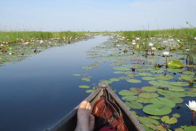 3 Day Inner Okavango Delta Safari, all-inclusive 3 Day Inner Okavango Delta Safari, all-inclusive