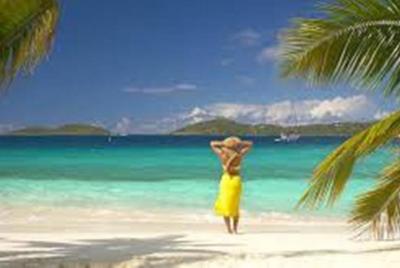 Tortola Beach Lunch Package