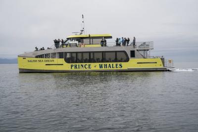 Half-Day Whale Watching Adventure from Vancouver Half-Day Whale Watching Adventure from Vancouver