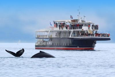 Sightseeingss in Tadoussac Things to do in  Tadoussac 498005512