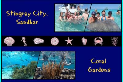 Stingray City and Snorkel Tour ( 2-Stops Adventure)
