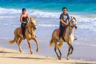 Horse Riding in Sal Island - Cabo Verde Horse Riding in Sal Island - Cabo Verde