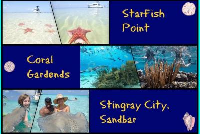 Starfish, Stingray and Coral Garden (3-Stop Adventure)