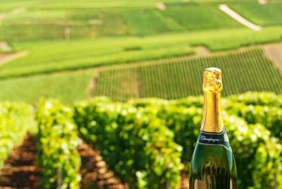 Champagne Trip from Paris with Tasting at Nicolas Feuillatte Famous Cellar