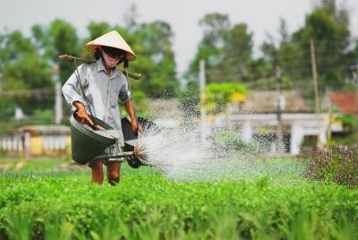 Hoi An Countryside Tour by Cycling, motorbike or car  Hoi An Countryside Tour by Cycling, motorbike or car