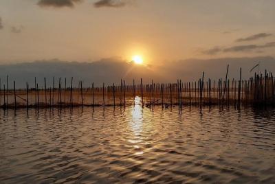 Sunrise On Tam Giang Lagoon