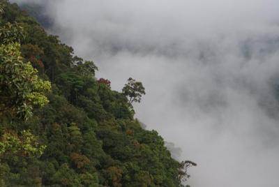 Bach Ma National Park from Hue