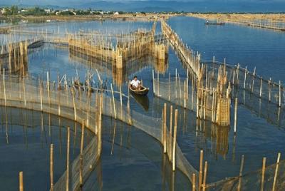 Discover the local life in Chuon Lagoon by scooter 