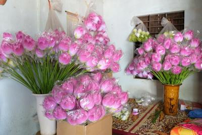 Authentic Hue Countryside And Culture Cycling Tour