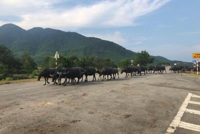 Hue to Thuan An beach by private car