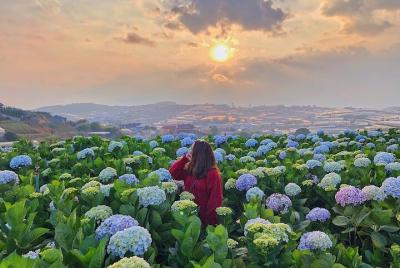 Full day Dalat highlights tour Full day Dalat highlights tour