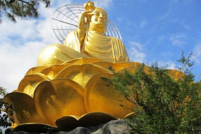 Full day Dalat countryside tour Full day Dalat countryside tour