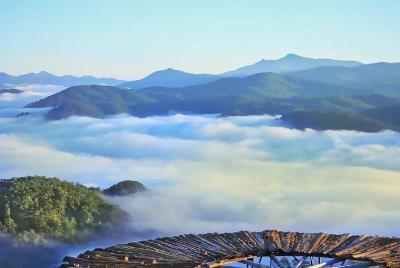 Da Lat Da Lat's Glow of Dawn - Photography Day Tour