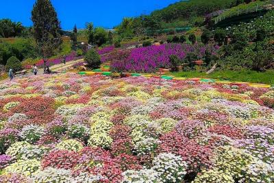 Da Lat Hot Attractions Discovering Day Tour Da Lat Hot Attractions Discovering Day Tour