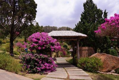 COMBO: Da Lat Hot Attractions Discovering Day Tour - LUMIERE Light Garden COMBO: Da Lat Hot Attractions Discovering Day Tour - LUMIERE Light Garden