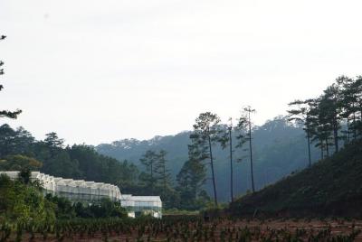 Da Lat Special Tour Da Lat Special Tour