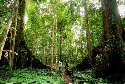 Dalat - Welcome to the jungle Dalat - Welcome to the jungle