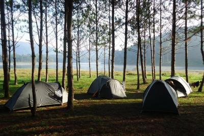 Jungle Fever With 2 Day Trekking From Tuyen Lam Lake To Chicken Village in Dalat Jungle Fever With 2 Day Trekking From Tuyen Lam Lake To Chicken Village in Dalat