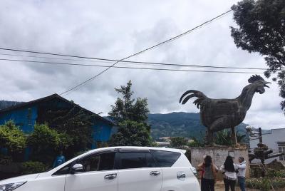 Dalat Private pick up from Lien Khuong Airport 7seat Dalat Private pick up from Lien Khuong Airport 7seat