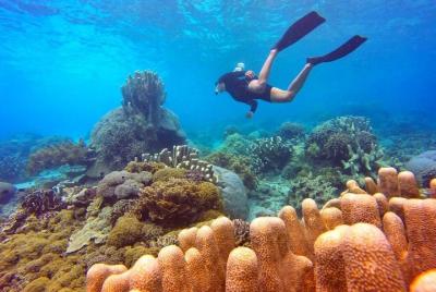 Day Tour Snorkeling in Nha Trang Day Tour Snorkeling in Nha Trang