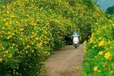 Da Lat City Tour 1 Day Da Lat City Tour 1 Day