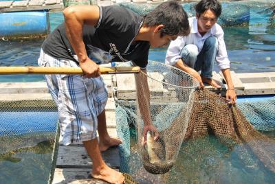 Nha Trang Fishing and Snorkeling Private tour Nha Trang Fishing and Snorkeling Private tour