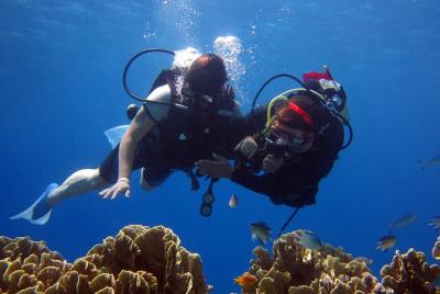 Day Tour Diving Nha Trang At Hon Mun Island