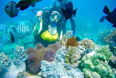 Shared Tour Nha Trang Island Hopping By SpeedBoat Plus Diving Shared Tour Nha Trang Island Hopping By SpeedBoat Plus Diving