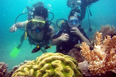 Nha Trang Half-Day Diving and Photo Underwater