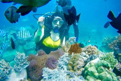 Island Hopping Plus Diving Island Hopping Plus Diving