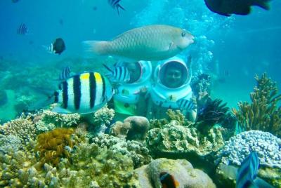 Sea Walk Daily Tour Nha Trang Sea Walk Daily Tour Nha Trang