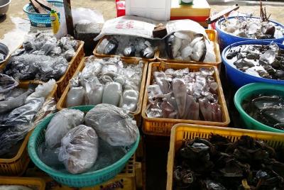 Nha Trang Highlights Nha Trang Highlights