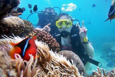 Visiting Robinson island Visiting Robinson island