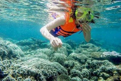 From Mui Ne To Vinh Hy Bay Snorkeling And Fishing Tour | Day Trip  From Mui Ne To Vinh Hy Bay Snorkeling And Fishing Tour | Day Trip