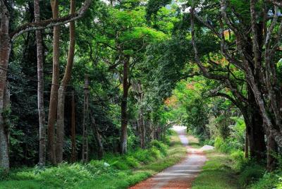 Full Day Discover Northern Phu Quoc Island Full Day Discover Northern Phu Quoc Island