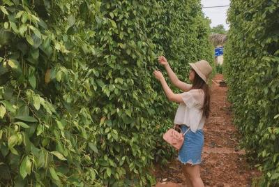 Phu Quoc Picnic tour at Da Ban Stream full day Phu Quoc Picnic tour at Da Ban Stream full day