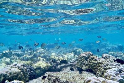 Phu Quoc Snorkeling and fishing to the North full day tour Phu Quoc Snorkeling and fishing to the North full day tour