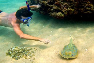 Phu Quoc free and easy package 3 days Phu Quoc free and easy package 3 days